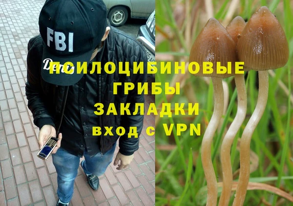 тгк Алзамай